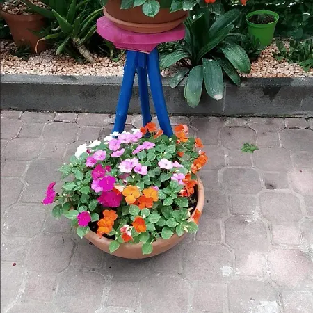 Sweet Bed & Breakfast *